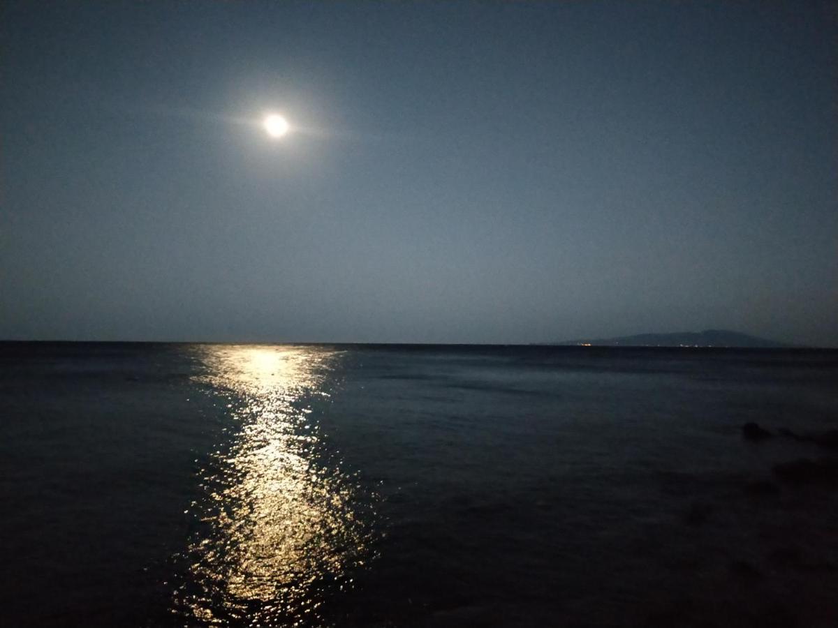 Izu Shirada Villa 伊豆白田家 Higashiizu Εξωτερικό φωτογραφία